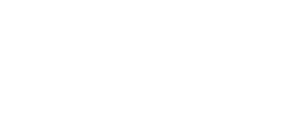 Verne-Logo-Blanco